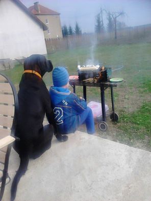 Arsen na wspólnym grillu